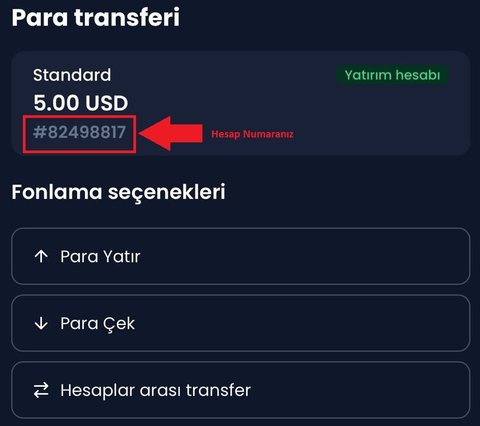 XM Global hesap numarası - sayfa 3